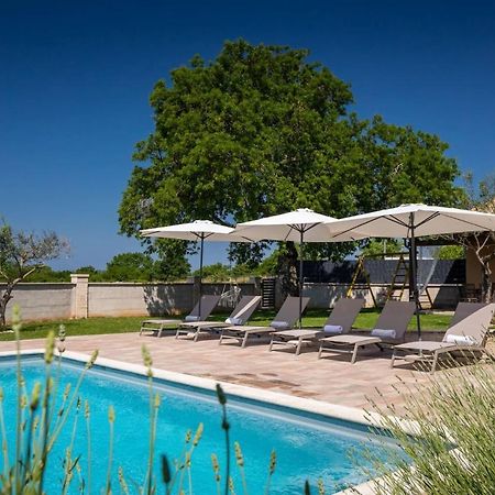 Activity Villa Gita With Pool And Grill In Tinjan Exteriér fotografie